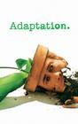 Adaptation