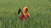 Exclusive-India eyes doubling cash handout for women farmers ahead of vote - sources