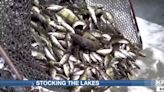 ND Game and Fish provides update on what fish species are being stocked and in which lakes