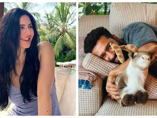 Katrina Kaif turns photographer for husband Vicky Kaushal as they spend a 'lazy Sunday' together - See inside | - Times of India