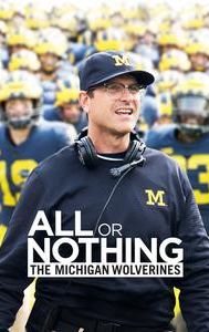 All or Nothing: The Michigan Wolverines