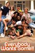 Everybody Wants Some!! (film)