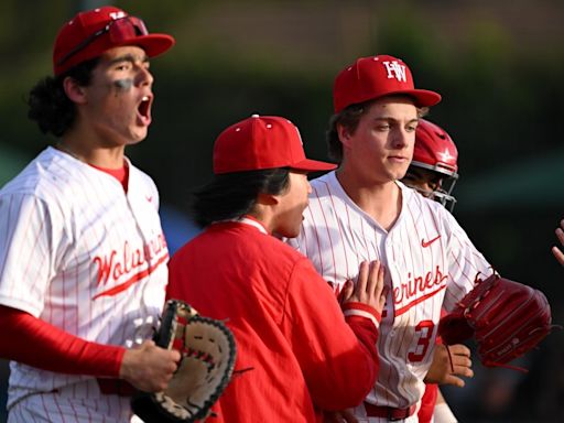 Daily News high school baseball final Top 10