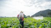 Toxic 'forever chemicals' in US pesticides raise health concerns