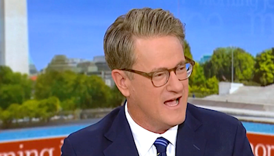 Morning Joe mocks Trump for 'freaking out and going crazy' after Biden drops out