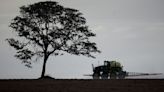 Brazil's soybean harvest off to slow start -AgRural