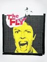 The Fly (1958 film)