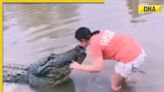 Viral video: Woman plants kiss on giant crocodile's head, leaves internet In disbelief