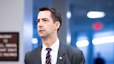 Sen. Cotton says U.S. needs to "get tough on crime" after Pelosi attack