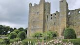 The historic rose garden helped, not hindered, by the wet spring