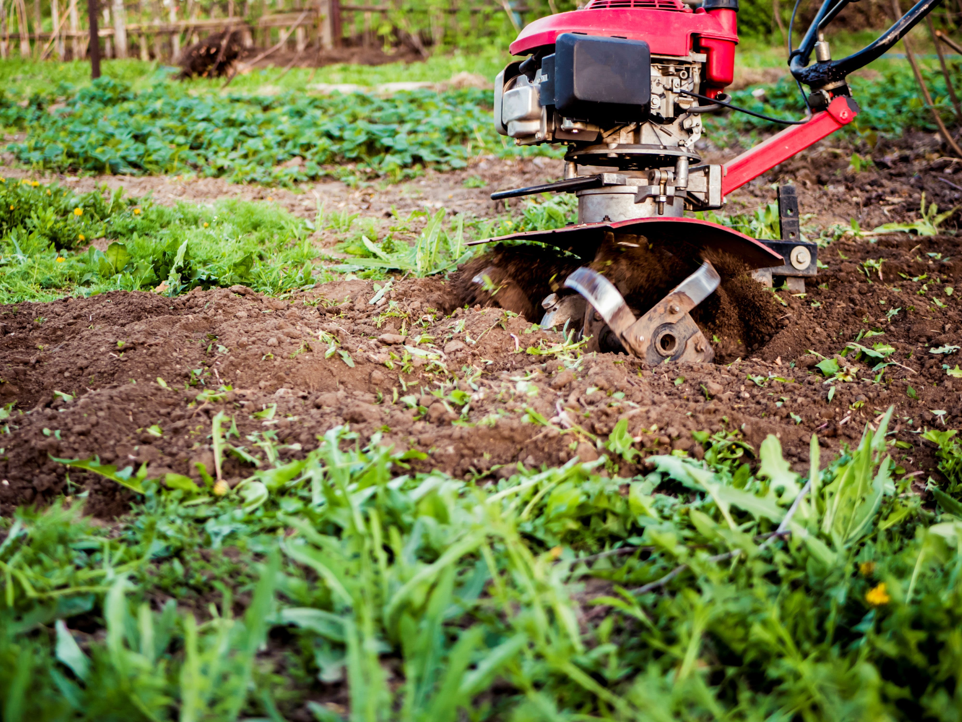 Tillers vs. Cultivators—Here's How to Choose the Right Tool for Your Gardening Task