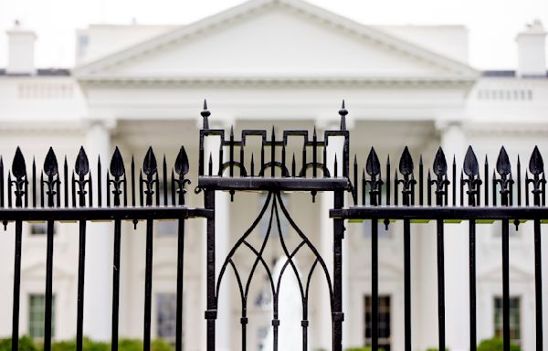 Driver dies after crashing into White House perimeter gate