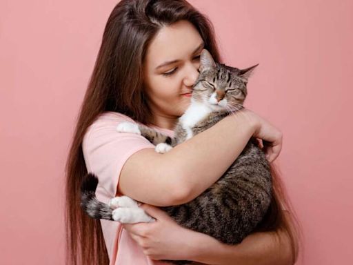 6 dicas para reduzir a ansiedade de separação em gatos