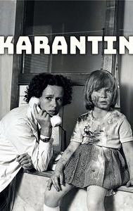 Karantin