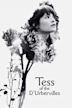 Tess of the D'Urbervilles