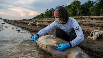 Mudanças climáticas já interferem em secas e cheias na Amazônia