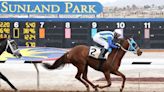 El Paso horse owners Kirk and Judy Robison win stakes race Sunday at Sunland Park