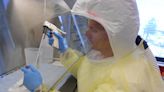 I study coronavirus in a highly secured biosafety lab – here's why I feel safer here than in the world outside