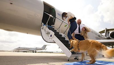 Nueva aerolínea exclusiva para perros: cómo funciona, costos y destinos