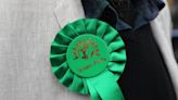 Green Party removes HIV image from online manifesto after backlash