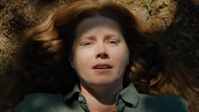 Nightbitch Trailer Previews Comedy Horror Movie Starring Amy Adams