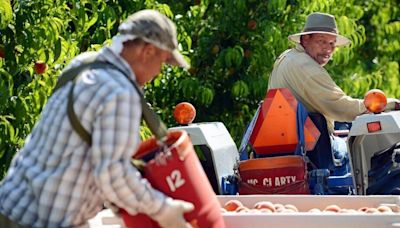 Longtime farmers buy former Prima Wawona packing houses, expect to employ 1,000+ workers