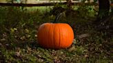 Happy National Pumpkin Day! Watch people kayak in massive hollowed pumpkins