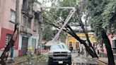 FOTOS: Lluvias provocan caída de árboles y cierre de calles en CDMX