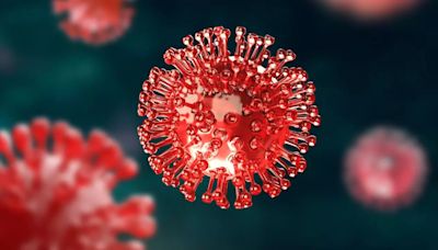 New COVID-19 Variant XEC Accounts For 5.7 Percent Of US Cases In 2 Weeks: CDC