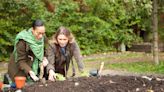 How Soil Amendments Can Improve Your Garden