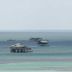 Stiltsville