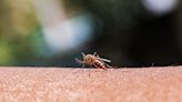 CDC issues alert after 5 cases of locally acquired malaria reported in Texas and Florida