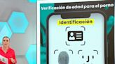 España implementará una "credencial digital" para autorizar el ingreso a webs de pornografía