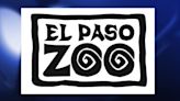 Zoological Society sues City; City files counter claims alleging mismanagment