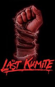 The Last Kumite