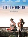 Little Birds (film)