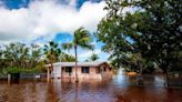 Life in Florida means storms — and mold. What to know about cleaning up the fungi