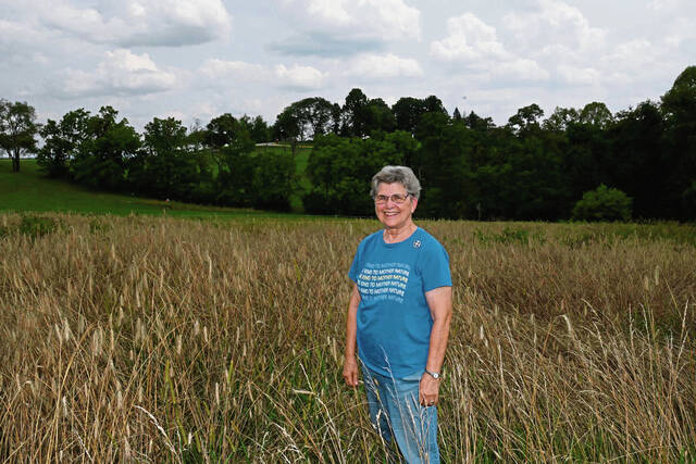 Sisters of Charity's Greensburg harvest sends wheat on journey from field to mill to oven