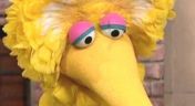 11. Big Bird Wishes the Adults Were Kids