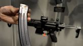 Oregon Supreme Court blocks gun regulation law from taking effect