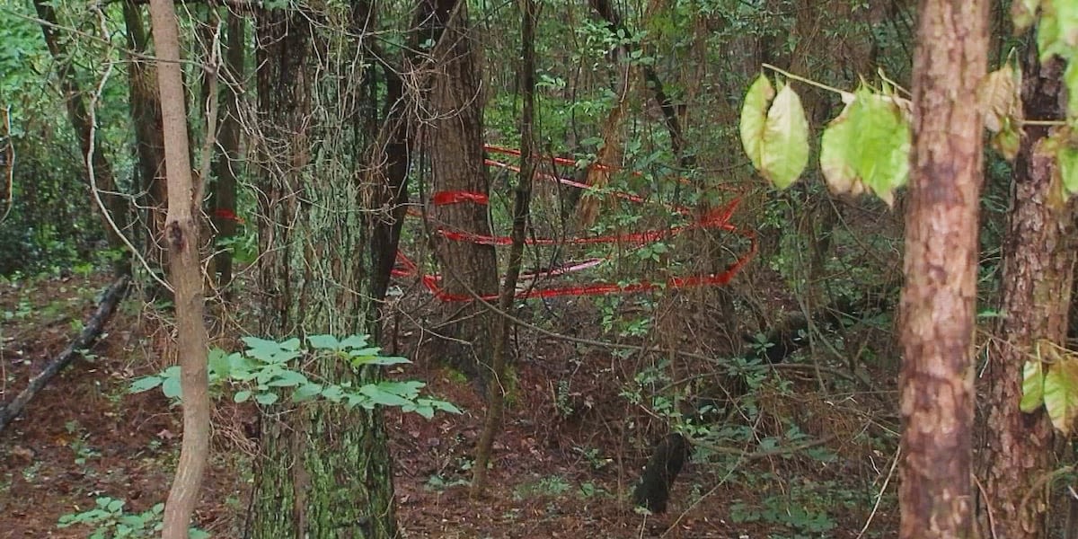 Man rescued after falling into 50-foot well in Georgia