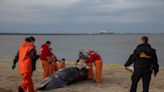 Marine experts reveal potential cause of death for minke whale found in Middletown
