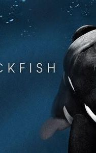 Blackfish (film)