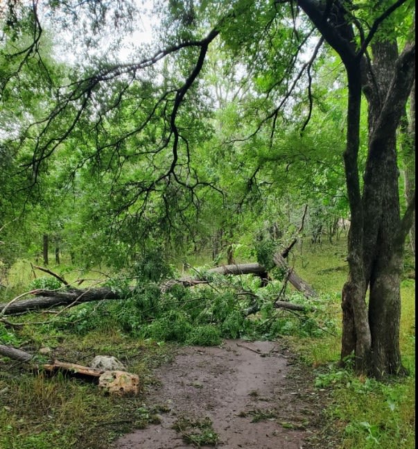 In Hays County, damage from last week's storm tops $1 million