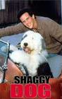 The Shaggy Dog