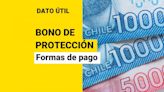 Bono de Protección: Así se paga el beneficio para dueñas de casa que se entrega por dos años