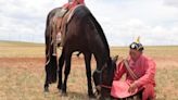 Horse Origin Traced to Lineage That Emerged 4,200 Years Ago