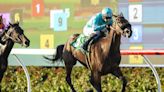 Turf racing in America, star fillies in Japan highlight weekend horse racing