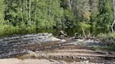 US Forest Service announces closure of Superior National Forest over widespread storm damage