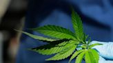 US drug control agency to reclassify marijuana in historic shift